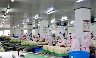 長春高榕生物科技 深耕食用菌產業 用科技還原生態之美