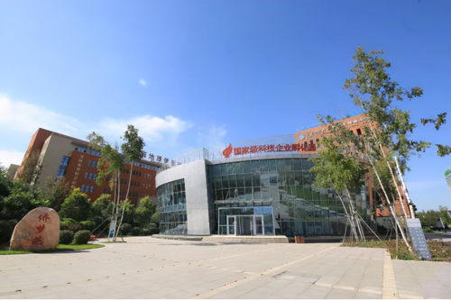 北科建園區 專精特新 企業再添3家